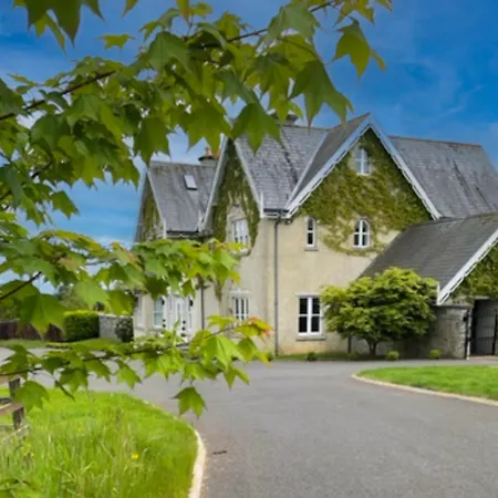 Cluain Ard By Trident Homes Castletown (Laois)